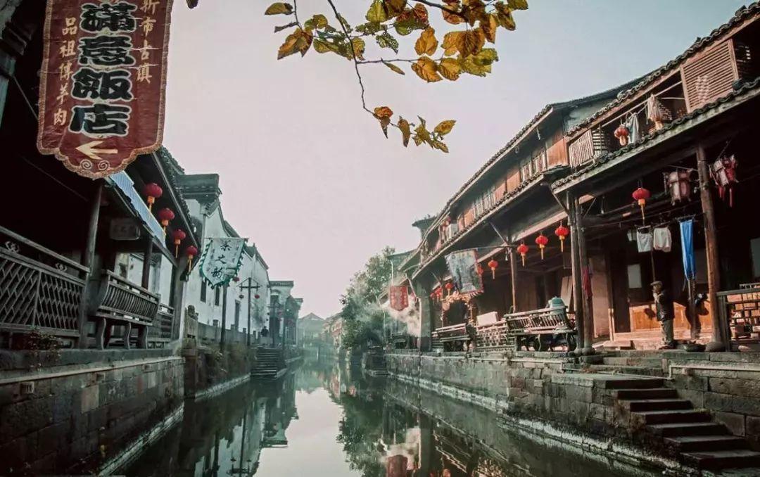 拯救枯树